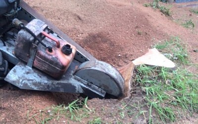 stump removal Sydney